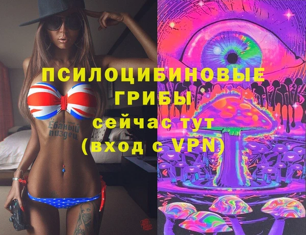 дмт Абаза
